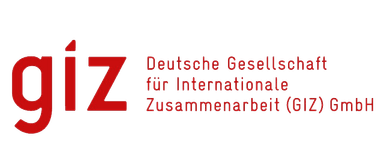 GIZ logo